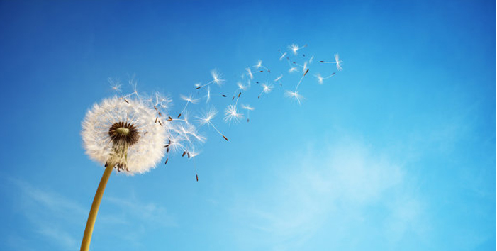 й8590am֮()޹˾-ٷվ